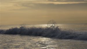 Nature WS - 19.jpg